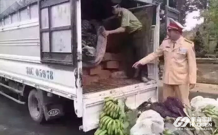利用香蕉掩护红木运输